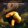 Artikelbild von B. J. Harrison Reads The Golden Anaconda