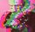 Artikelbild von Sven Vaeth in the Mix-The So