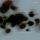 Artikelbild von After the Wildfire