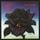Artikelbild von Thin Lizzy: Black Rose
