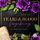 Artikelbild von Tears & Blood: Vergebung - Mafia Dark Romance