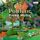 Artikelbild von Poulenc:Piano Music