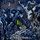 Artikelbild von From The Depths (Jewel Case)