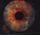 Artikelbild von Echoes