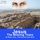 Artikelbild von Jesus: The Missing Years