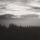 Artikelbild von Underrated Silence