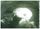 Artikelbild von Glow