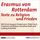 Artikelbild von Erasmus von Rotterdam - Texte zu Religion und Frieden