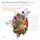 Artikelbild von Sweelinck/The Complete Keyboard Works