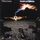Artikelbild von Thin Lizzy: Thunder And Lightning