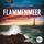 Artikelbild von Flammenmeer