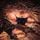 Artikelbild von Catharsis