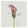 Artikelbild von The Verbally Abusive Relationship, Expanded Third Edition