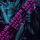 Artikelbild von Cocoon Ibiza mixed by Dana Ruh