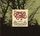 Artikelbild von The Painted Trees Of Ghostwood