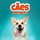 Artikelbild von C&atilde;es