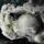 Artikelbild von Coalesce: 012:2
