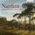 Artikelbild von Nardini:Complete Music for 2 Violins