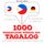 Artikelbild von 1000 wichtige W&ouml;rter auf Tagalog f&uuml;r die Reise und die Arbeit
