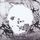 Artikelbild von A Moon Shaped Pool