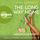 Artikelbild von Magnolia Parks &ndash; The Long Way Home