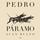 Artikelbild von Pedro P&aacute;ramo