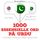 Artikelbild von 1000 essensielle ord p&aring; Urdu