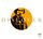 Artikelbild von Discover Chopin