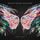 Artikelbild von Gravity