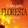 Artikelbild von A luta pela Floresta: Como a Noruega ajuda a proteger e a destruir o meio ambiente no Brasil