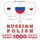 Artikelbild von 1000 essential words in Polish