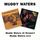 Artikelbild von At Newport/Muddy Waters Live