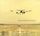 Artikelbild von Schories, O: Fields Without Fences