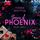 Artikelbild von Scars of Phoenix