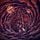 Artikelbild von Disharmonium - Undreamable Abysses