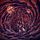 Artikelbild von Disharmonium-Undreamable Abysses (Digipak)
