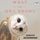 Artikelbild von What an Owl Knows