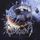 Artikelbild von Obscura: Cosmogenesis