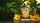 thumbnail-10