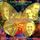 Artikelbild von Metamorphosis-Jazz Meets The Symphony 4