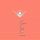 Artikelbild von Cocoon Compilation O