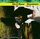 Artikelbild von Eek-A-Mouse: Mouseketeer