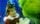 thumbnail-8
