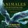Artikelbild von Animales fant&aacute;sticos y d&oacute;nde encontrarlos