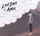 Artikelbild von Sea Of Clouds