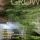 Artikelbild von Grow