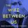 Artikelbild von The Wife Between Us