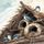 Artikelbild von Wings of Wonder
