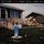 Artikelbild von Halen, V: Live-Right Here,Right Now