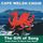 Artikelbild von The Gift Of Song